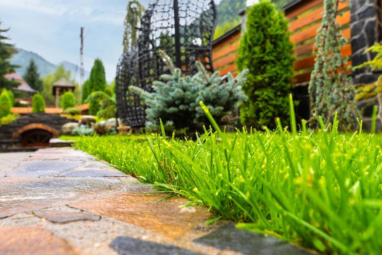 Pensiunea Paradisul Verde モイセイ エクステリア 写真