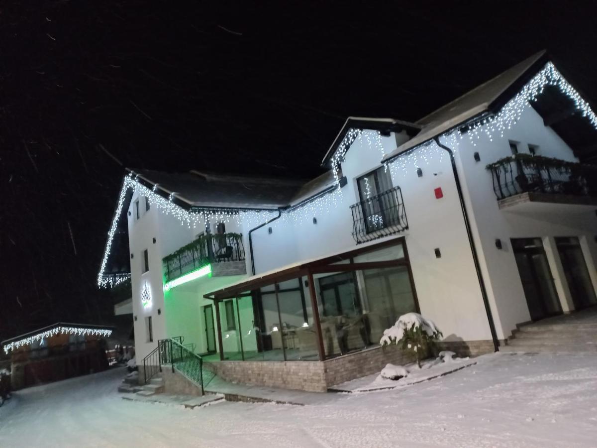 Pensiunea Paradisul Verde モイセイ エクステリア 写真